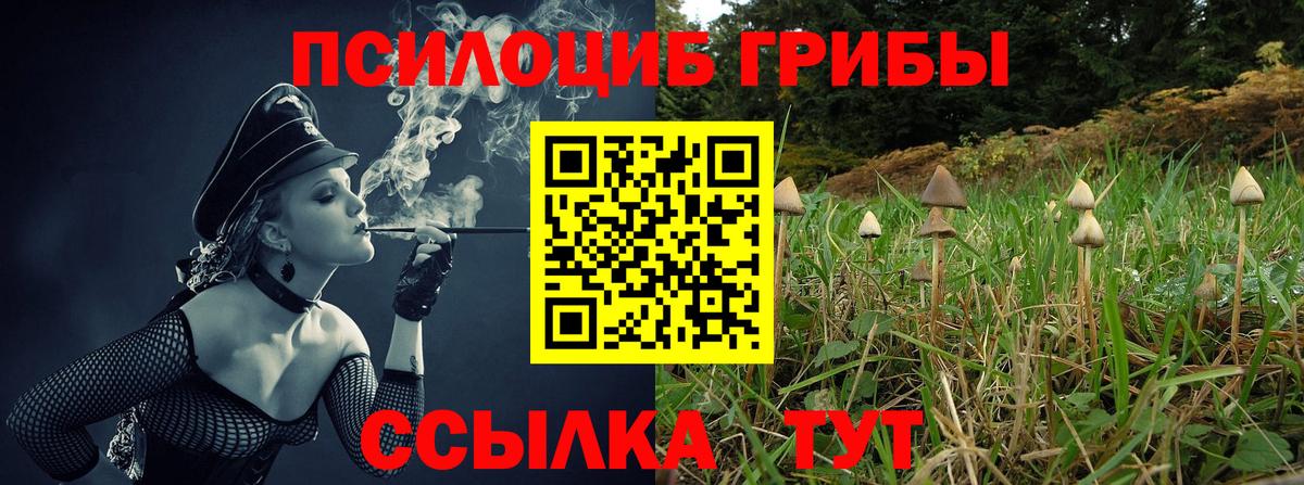 Галлюциногенные грибы Psilocybe  Вход с VPN  Копейск  Псилоцибиновые грибы Psilocybe 